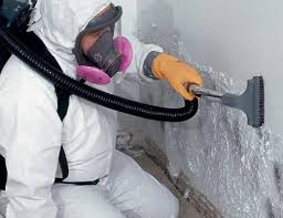 Best Industrial Mold Remediation in Newberry, SC